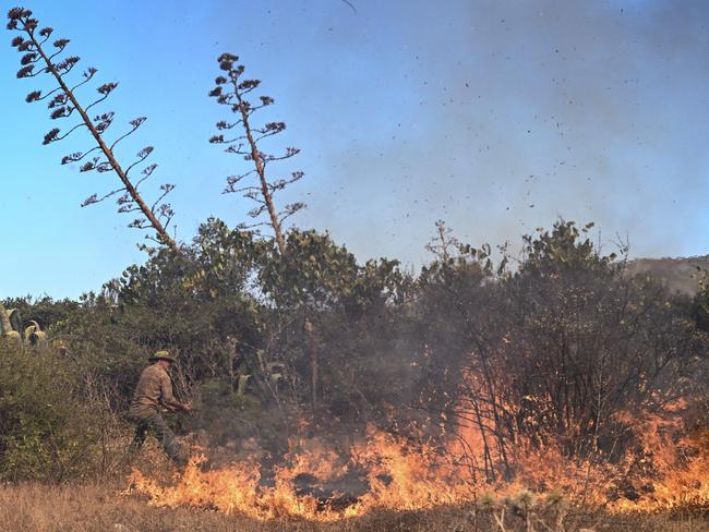 A local man uses a tree branch to beat down the flames as the prime minister warned the nation was "at war". Picture: AFP