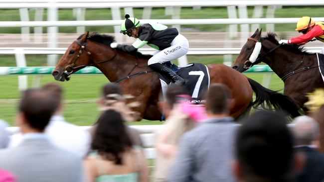 There will be an overhaul of the Queensland apprentice system. Picture: Steve Pohlner