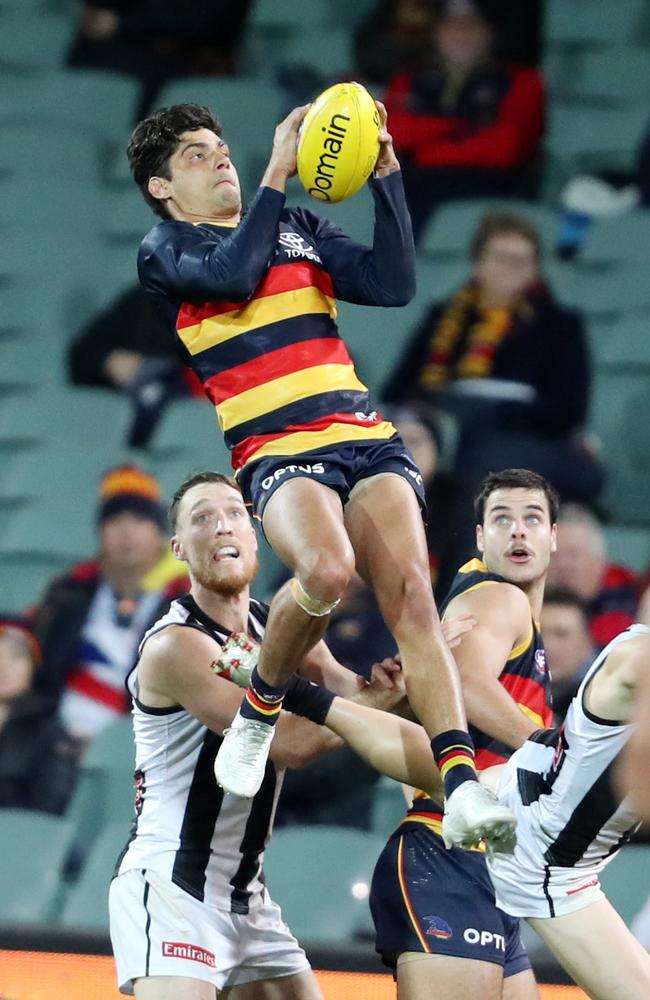 Shane McAdam’s hanger was the highlight of Adelaide’s 11th loss of the year. Picture: Sarah Reed.