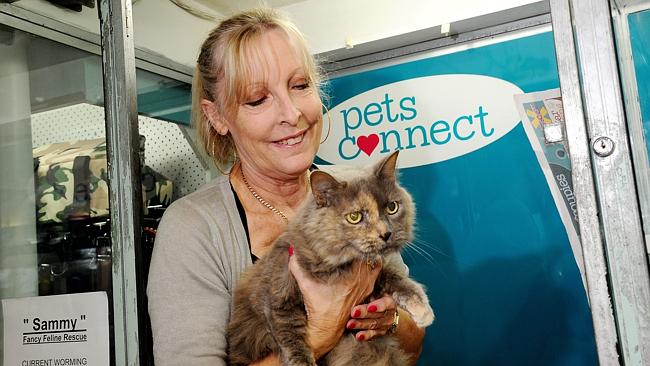 Strathpine Pets Connect manager has purr-fect solution to help rescue