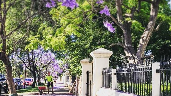 North Adelaide. Picture: Sam Wundke @samwundke/Instagram.