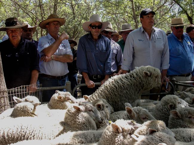 Fletchers buyer and Bendigo agent Alex, M&amp;M, were the volume buyers of crossbred store lambs at Deniliquin last week.