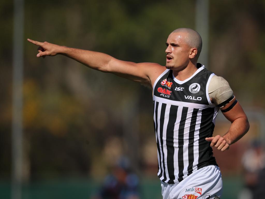 The Port Adelaide Magpies are still active in the SANFL.