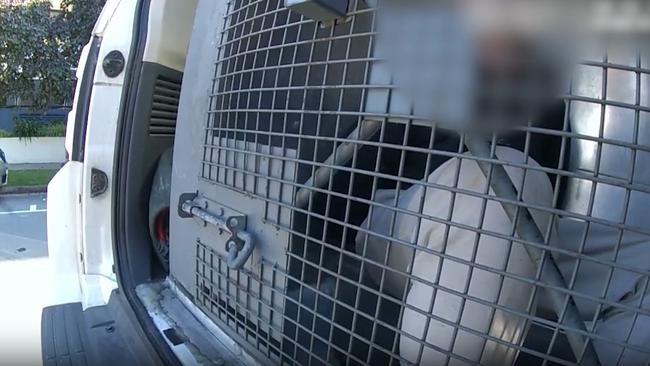 Officers were called to Nexus Drive in Pimpama at about 9.30am on Wednesday, after reports youths were allegedly attempting to break into vehicles in a business car park. Photo: Queensland Police