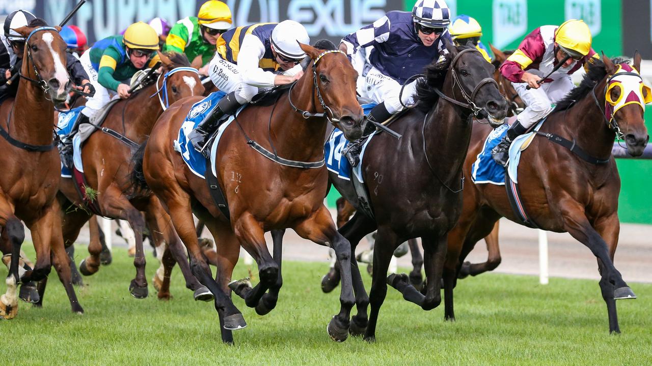 Furphy Ale Frances Tressady Stakes