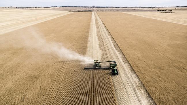 The grain harvest in Western Australia has already seen CBH Group reach the receival milestone of 20 million tonnes.