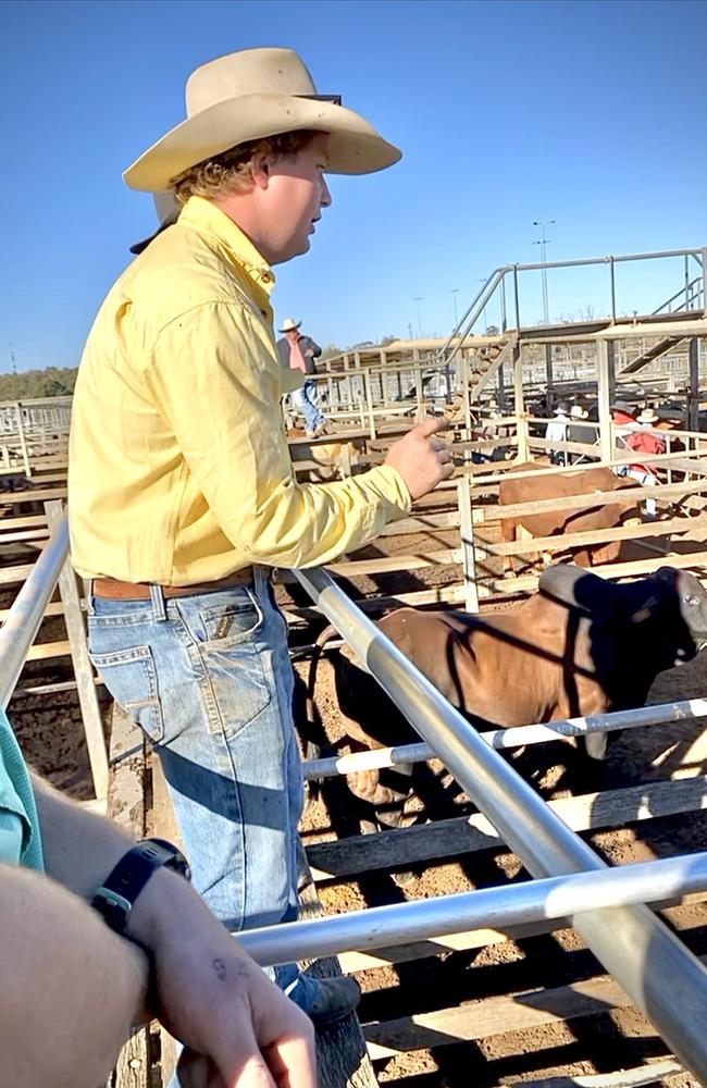 Livestock auctioneer Jesse McCutcheon. Photo: Supplied