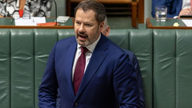 Labor MP Ed Husic says people should be able to express concerns about what they are seeing in Gaza without facing professional retribution. Picture: NCA NewsWire / Gary Ramage