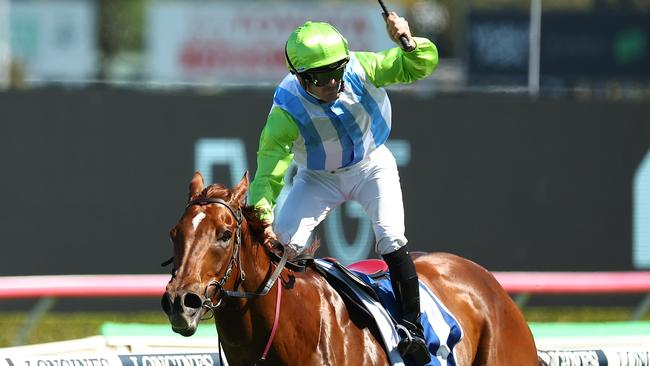 Front Page will chase his third consecutive victory in The Kosciuszko. Picture: Jeremy Ng/Getty Images