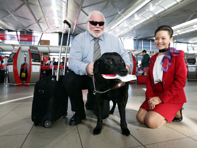 Certified assistance dogs, such as Putu the guide dog, are permitted to fly in the passenger cabins on flights in Australia. Putu, pictured with his owner, James Bennett and Narida Sirapanichart from Virgin Australia, received his own named boarding pass in recognition of his record 250 flights back in 2012. Picture: Lloyd Justin