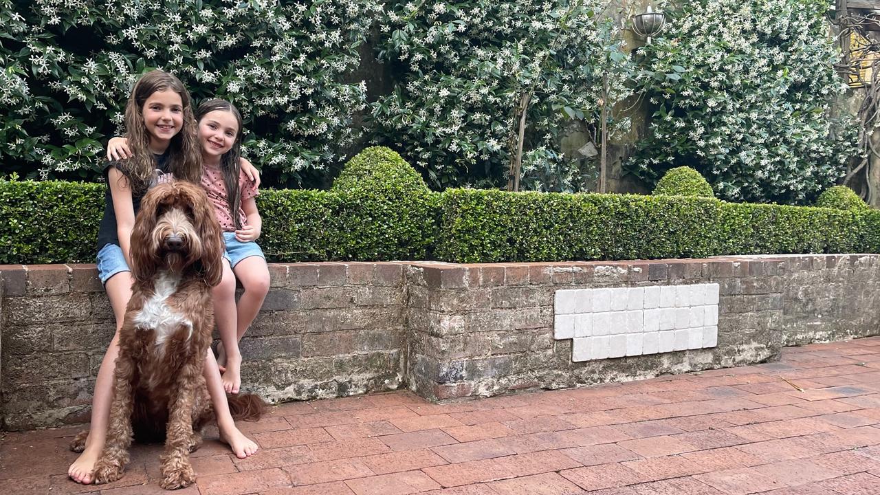 Eloise Shields, 9, and Isabella Shields, 6, with Archie in the north-facing courtyard.