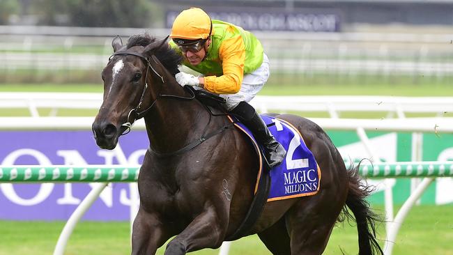 Tiger Legend is a Group 3 winner in Brisbane under his old name Tiger Legend. Picture: Grant Peters — Trackside Photography.