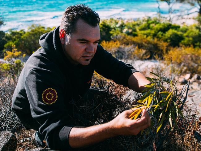 Wardandi man Josh Whiteland, owner of WA company Koomal Dreaming collecting edible native ingredients at Yallingup in WA. Picture: Mark Boskell