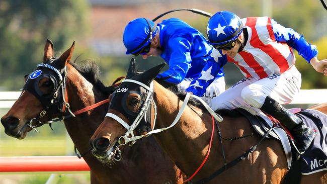Allision (left) and My Giuliano will do battle again in the opening race at Canterbury. Picture: Mark Evans.