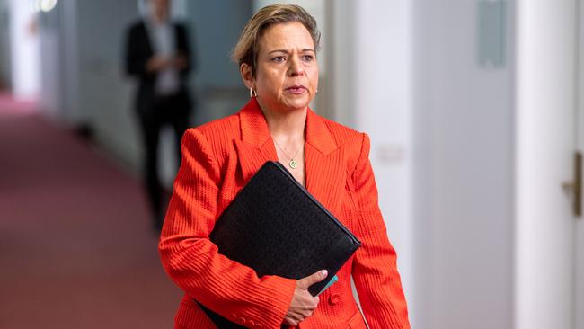 Communications Minister Michelle Rowland: ‘While there are no simple solutions or “one size fits all” approach, a co-ordinated and holistic approach is required.’ Picture: NCA NewsWire / Gary Ramage