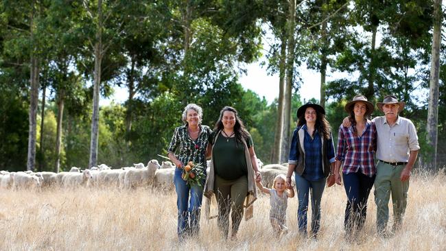 The Stewart family - Jill, Michelle, Lyra, Hannah, Kirsty and Andrew - on their Yan Yan Gurt West farm in the Otways of southwest Victoria. Picture: Andy Rogers