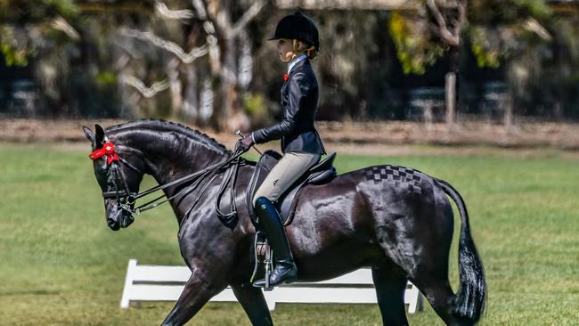 Sally Bond and Toleia Park Mercury Rising at the 2020 Show Horse Council of SA Rising Star Championships in March Picture: Lisa Gordon