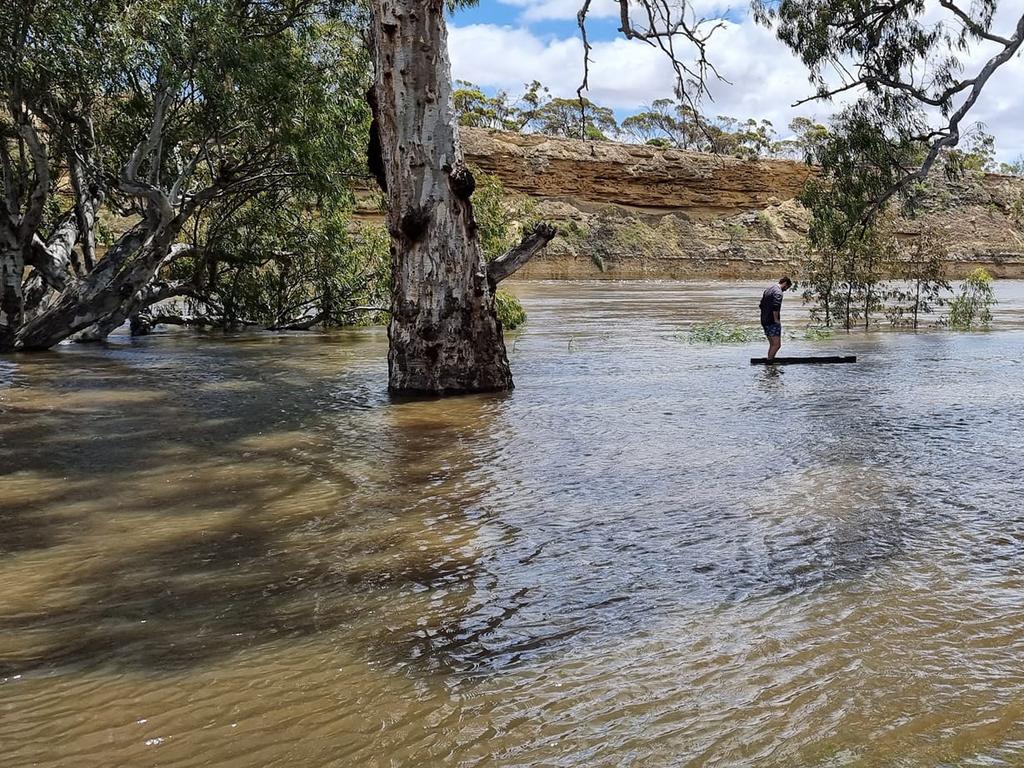 Flood water at Brenda Park near Morgan. Picture: Vicki Crawford.