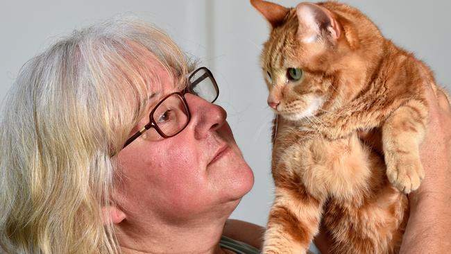 Daniela Maslen with cat Jacky at their temporary Harkaway home. Picture: Andrew Batsch