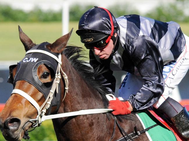 Photographs: Simon Bullard. Race 2 TAB REWARDS HANDICAP (3YO&UP F&M BM80) - 2000m. Winner 'Saigon Tea' ridden by Jim Cassidy.