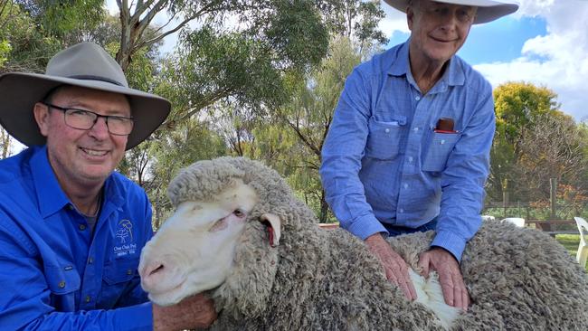 Alistair Wells, left, One Oak Poll Merino stud at Jerilderie, with the $28,000 ram sold to local commercial sheep breeder Donald Bull, Irroy of Deniliquin.