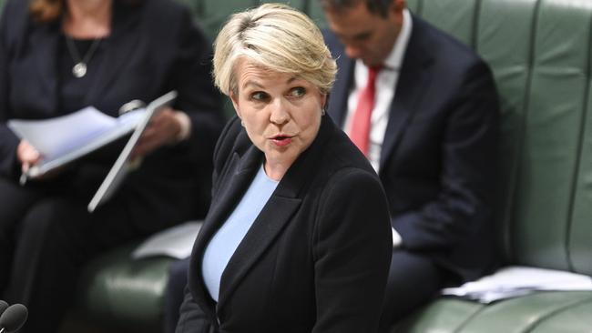 Minister for Environment and Water Tanya Plibersek. Picture: NCA NewsWire / Martin Ollman.