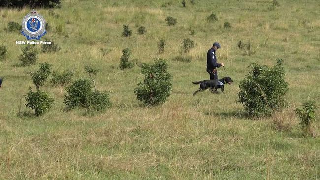 Thea Liddle, aged 42, was last seen in the Mooball area in Tweed on Thursday, October 31, 2019. This week police including the dog squad searched a Mooball property.