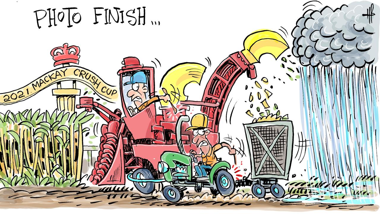 Harry Bruce's take on the season finale for Mackay canefarmers, December 30, 2021. Picture: Harry Bruce harry toon