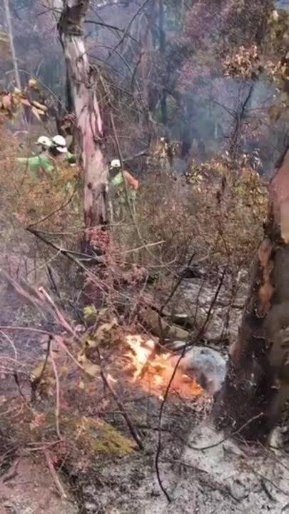 'Catastrophic Fire Danger' Forecast for Boxing Day as Bushfires Keep Raging in Victoria