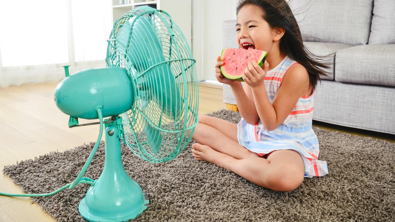 11 Best Cooling Fans To Help You Survive Summer | news.com.au — Australia's  leading news site