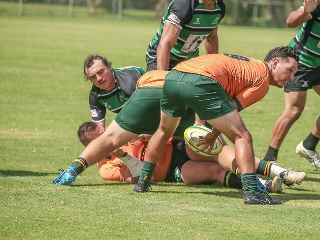 Surfers Paradise Dolphins host Queensland Premier Rugby club Sunnybank at Broadbeach Waters. Picture:Glenn Campbell