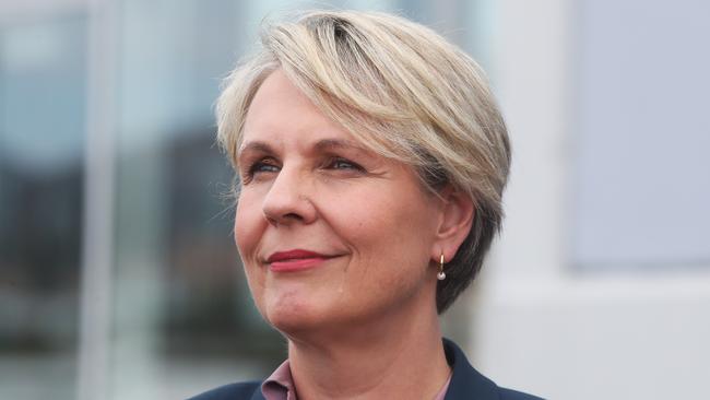 Environment Minister Tanya Plibersek.  Prime Minister Anthony Albanese in Hobart in relation to $188 million funding for Macquarie Wharf.  Picture: Nikki Davis-Jones