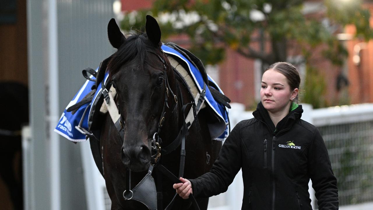 Caulfield Trackwork Session