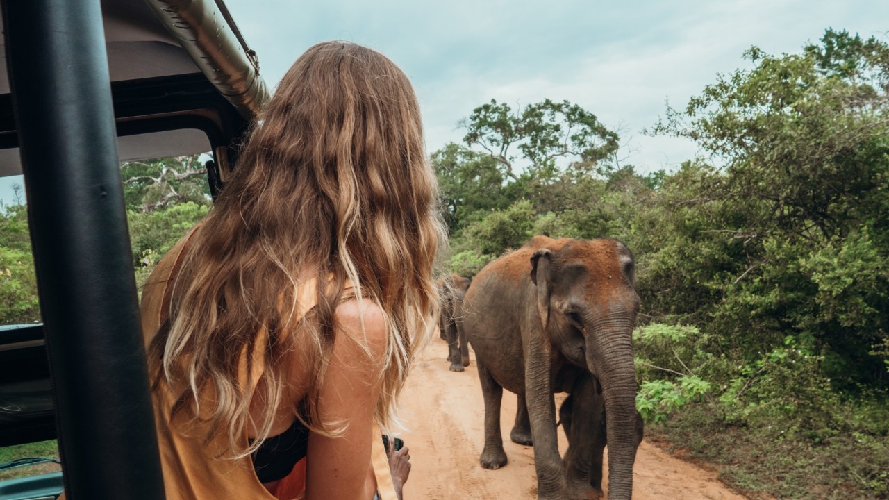 <h2>Sri Lanka&nbsp;</h2><p><span>Incredibly affordable curries, cheap beers, budget-friendly wildlife encounters and stunning beaches. Where do we sign?</span></p><p><span>The Aussie dollar is strong in relation to the Sri Lankan rupee, and that's just the beginning. Cheap transport via the local public transport system is a great way to see the country's beautiful landscape, and you can land unique, bargain accommodation: there are plenty of budget hotels to choose from and Sri Lanka has clean, comfortable local homestays for anywhere between $55 and $128 per night.&nbsp;</span></p>