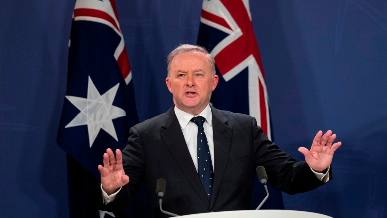 Albanese ‘exposed’ for failing to be across policy detail