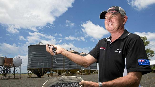HOMEGROWN: A new high-yield Queensland chickpea variety is music to the ears of growers like Graham Clapham. Picture: Nev Madsen