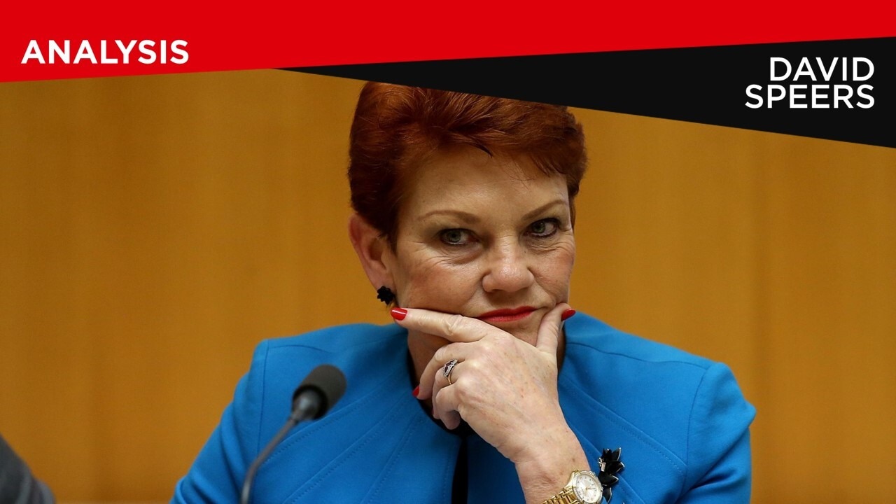 Pauline Hanson runs her parties like a business