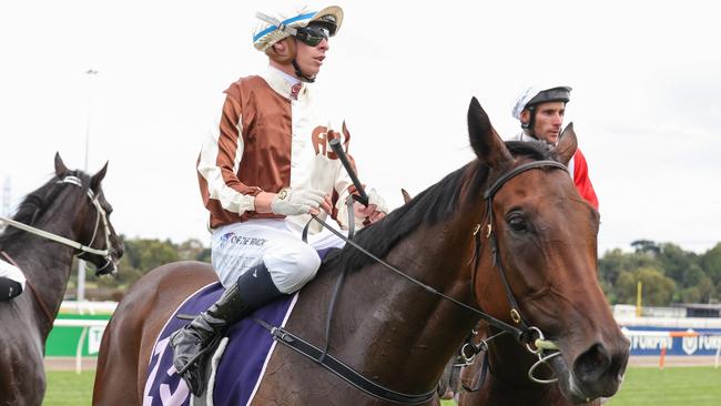 Legarto won last year’s Australian Guineas with Legarto. Picture: George Sal/Racing Photos via Getty Images