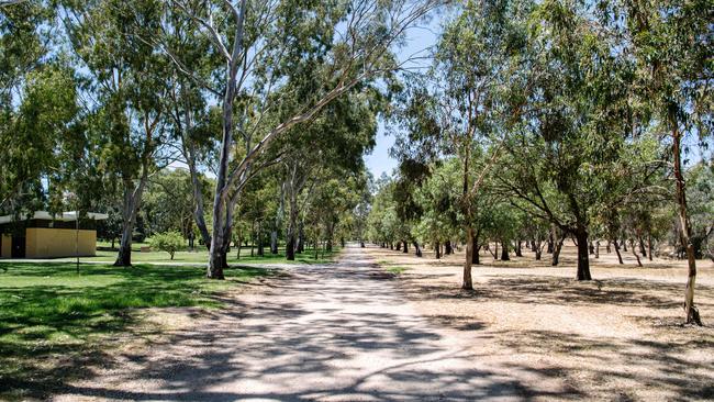 Police are looking for a man who approached a boy in the south parklands on Saturday morning. Picture: Morgan Sette