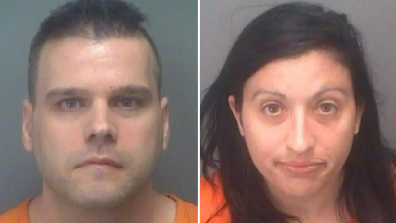 Florida woman accused of having sex with dog | The Advertiser