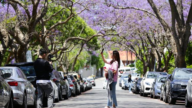 Sydney really knows how to turn it on during spring and summer. Picture: Gaye Gerard