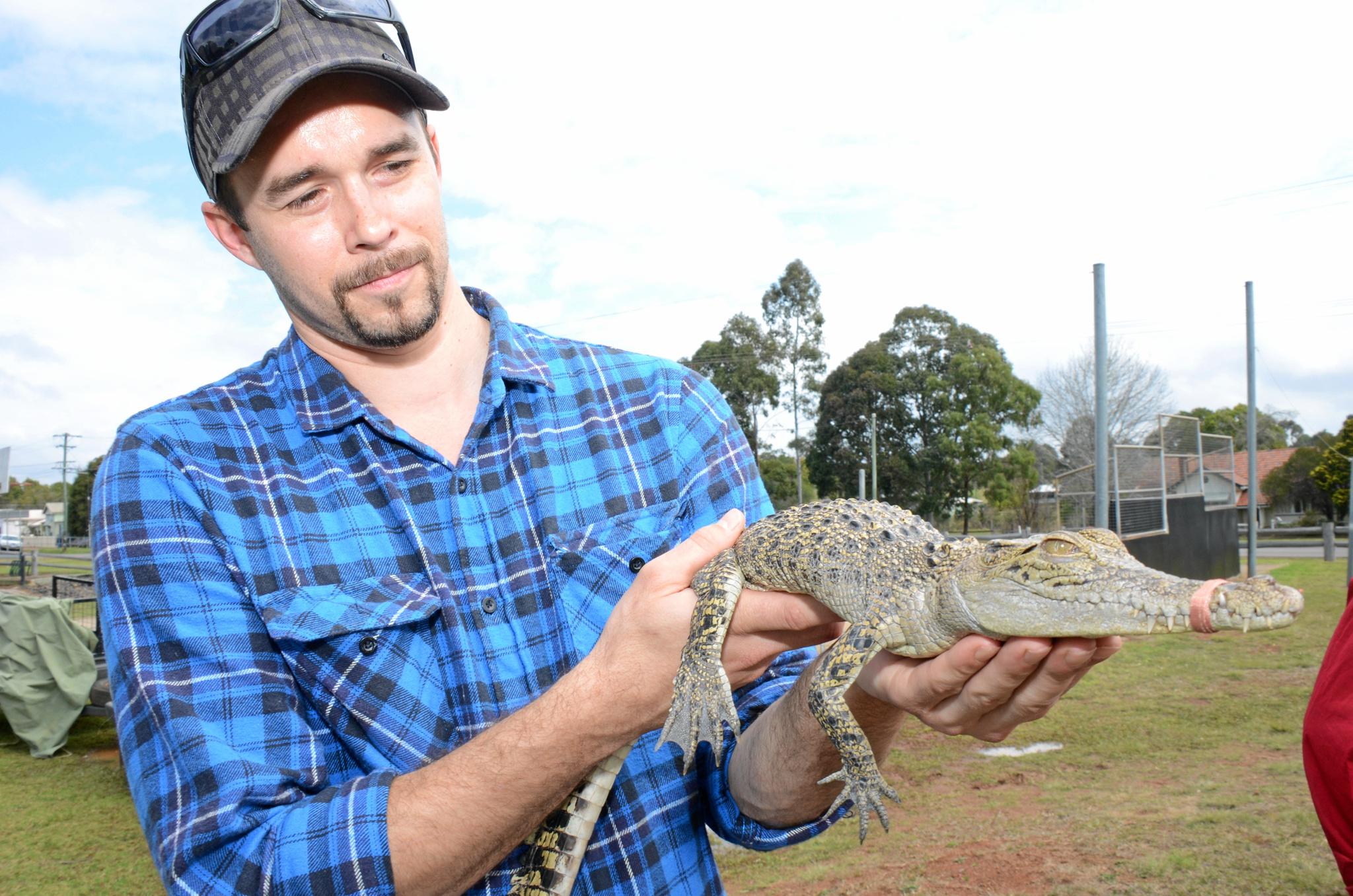 Blackbutt Avocado Festival 2016 