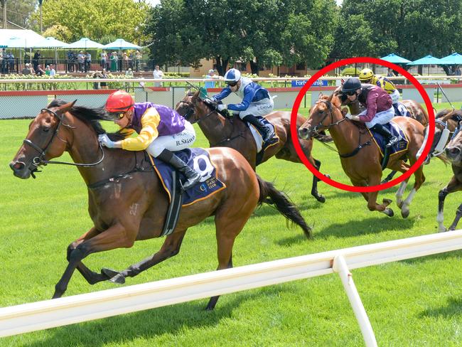 Mrs Secombe (circled) was an eyecatcher behind Pula at Bendigo last time out and can break through for her maiden victory at Kyneton on Tuesday. Picture: Brett Holburt / Racing Photos