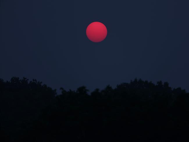 In Elmont, New York, all training and horseracing on the track were cancelled due to the Canadian wildfires. Air pollution alerts were issued across the United States. Picture: AFP