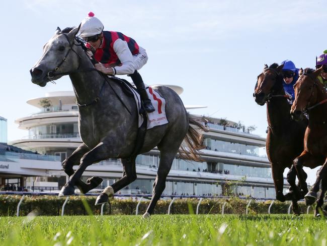 Speckled grey Fidelia charges to victory at Flemington in May.