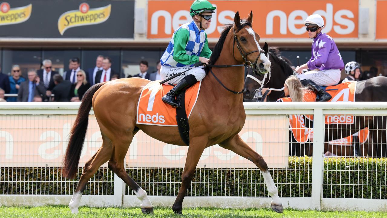 The Once-a-year Punter’s Runner-by-runner Formguide For The 2022 ...