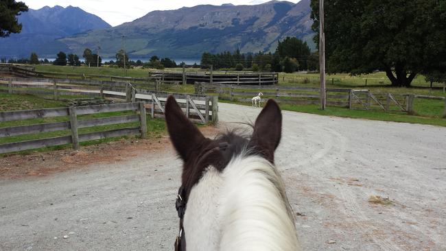 If horse riding is your thing, you can ride horses.