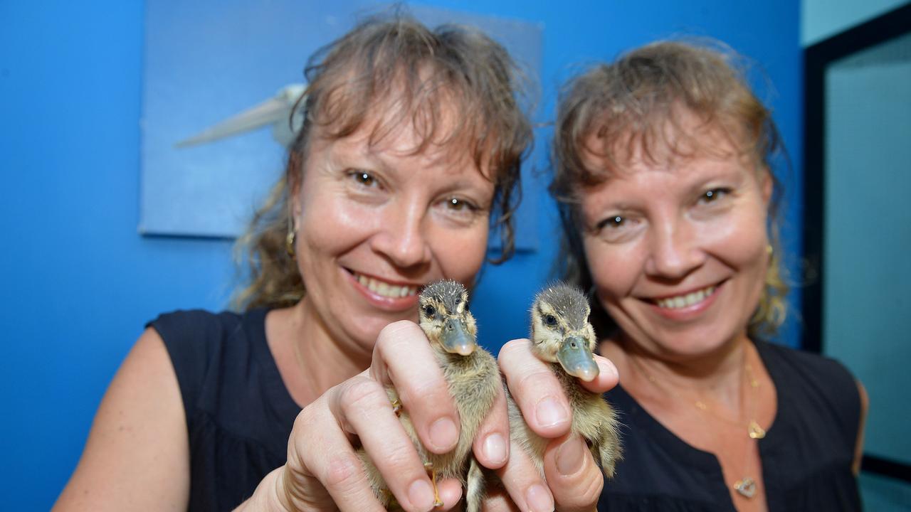 Paula and Bridgette Powers from Twinnies Pelican and Seabird Rescue. Picture: Warren Lynam