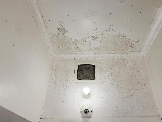 Mould on the bathroom ceiling. Picture: Ian Currie