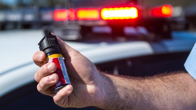 Police facts state Wallis was hit with a one-second burst of capsicum spray, which had an ‘immediate affect’.